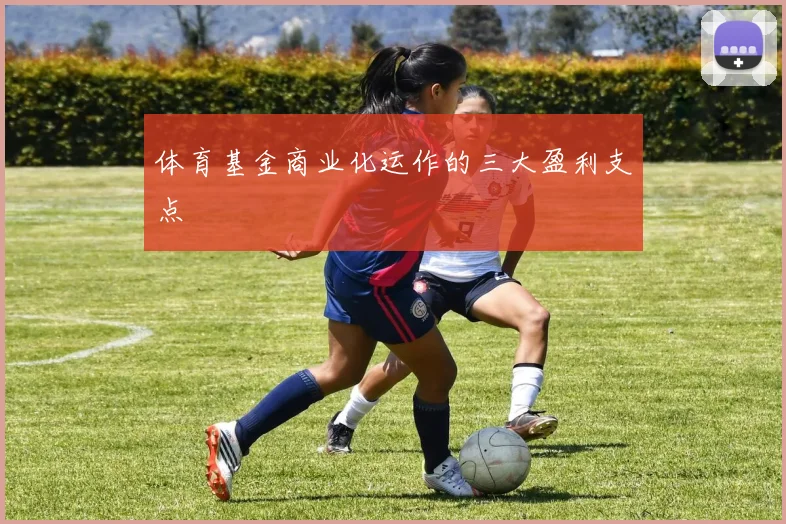 体育基金商业化运作的三大盈利支点