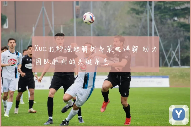 Xun打野崛起解析与策略详解 助力团队胜利的关键角色