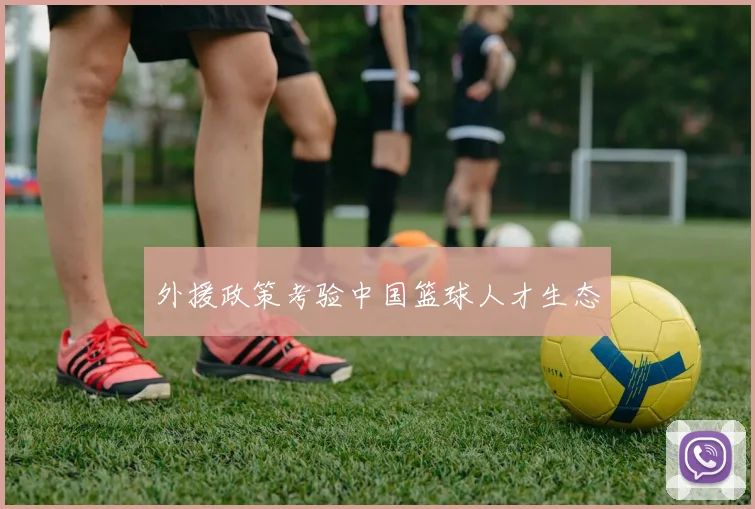 外援政策考验中国篮球人才生态