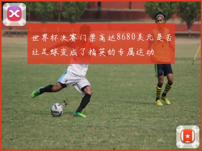 世界杯决赛门票高达8680美元是否让足球变成了精英的专属运动