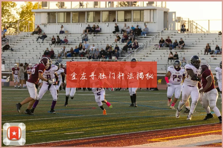 金左手独门杆法揭秘