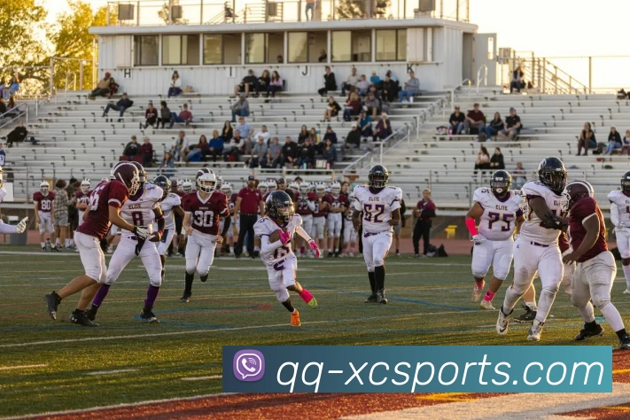 杏彩平台生态图